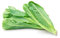 200 pcs salat samen - bonsai topf wintergemüse samen kopfsalat pflücksalat,salatsamen,Lactuca sativa, deko pflanzen seed gemüsebeet ausgefallene geschenke exotische zimmerpflanze bio