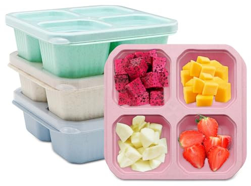 Aleker 4 Pack Snack Box with Compartments, Reusable Snack Containers Meal Prep Containers, Leak-Proof Snack Boxes for Kids Adults, Divided Food Storage Containers for School Office Picnic Travel