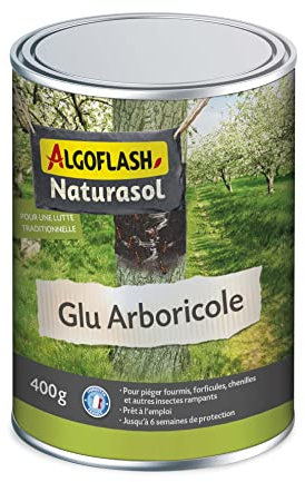 ALGOFLASH NATURASOL Glu arboricole, Avec pinceau applicateur integre, Piege les insectes rampants, Pot 400 g, BIOGLU400A, Vert