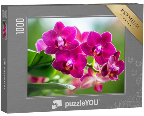 puzzleYOU: Puzzle 1000 Teile „Das strahlende Pink Einer blühenden Orchidee“ – aus der Puzzle-Kollektion Orchideen