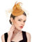 Dressfan Fascinator Hut Damen Vintage Stirnband Gatsby Haarreif 20er 50er Pillbox Kopfschmuck für Hochzeit, Cocktail, Teeparty, Karneval, Gold