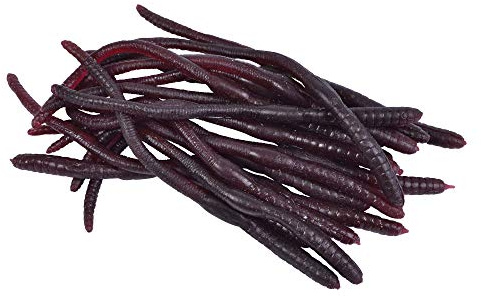 Bristol Novelty GJ429 Earthworms Halloween Accessory Set, Unisex-Adult, Brown, One Size Halloween