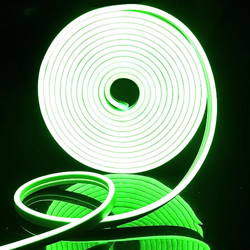 EXTRASTAR 5m Ruban Led 12V Flexible Bande Led Néon Lumière Verte Étanche Ip65 120 LEDs/M pour Intérieur/Extérieur Décoration(Non inclus Adaptateur Secteur)