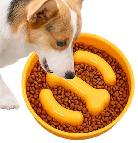Comedero Lento para Gatos, comedero Lento para Perros - Cuenco de alimentación para Gatos y Mascotas, alimentador de Comida Lenta para Perros | Plato de alimentación Lenta para Mascotas con