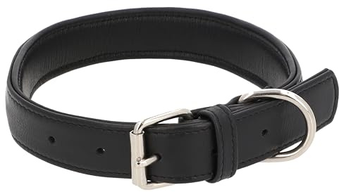 Gusti Leder Hundehalsband Arnfried - Lederhalsband Hund Haustier Vierbeiner Schwarz Leder