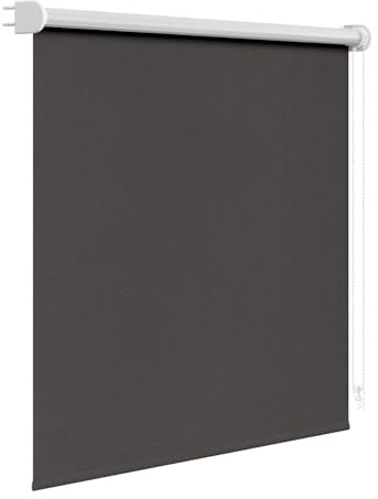 WOLTU Verdunkelungsrollo Thermo mit Schraubmontage 140x160 cm, Anthrazit | Verdunkelungsrollo Innen Rollos für Fenster und Türen, Fensterrollo Hitzeschutz Klemmrollo, Stoffbreite 136 cm