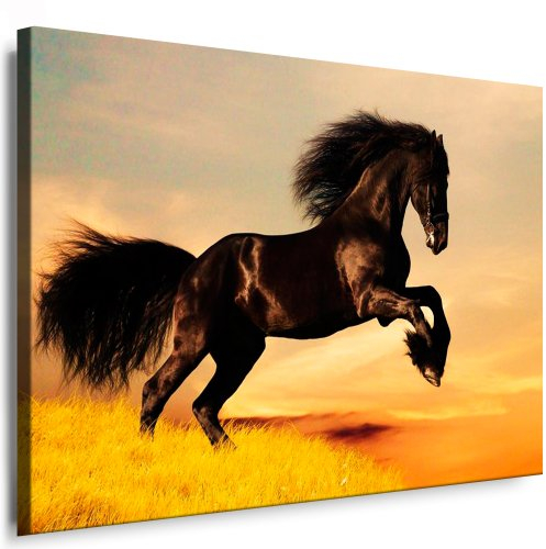 Julia-Art - Bilder Pferd Leinwand mit Keilrahmen 40 x 30 cm Leinwandbild XXL Wandbild Tiere Kunstdrucke Tierwelten Bild Wanddesign Wanddekoration c-642v-204