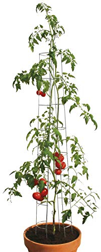bellissa Tomatenturm - 7503 - Rankhilfe für Tomaten und Gurken - Stütze zum Pflanzen von Gemüse - Durchmesser 13 cm, Höhe 180 cm - 3er Set