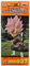Banpresto Dragon Ball Super WCF Volume 7 Super Saiyan Rose Goku Black Action Figure