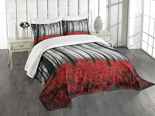 ABAKUHAUS Wald Tagesdecke Set, Mystic Waldbäume, Set mit Kissenbezug Kein verblassen, für Einzelbetten 170 x 220 cm, Schwarz-rot-Hellgrau