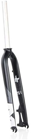 HIOD TG1— Forcella da Bicicletta Forcella da Montagna Forcella Rigida Forcella con Freno a Disco in Lega di Alluminio per Telaio da 26/27.5/29 Pollici,Black-White