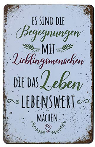 Hioni Es Sind Die Begegnungen Mit Lieblingsmenschen Vintage Blechschild Poster Wandschild Wand Dekoration Metallschild Türschild