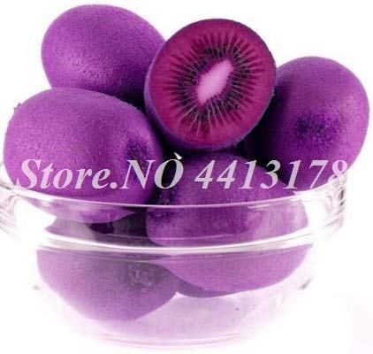 Sump Fresh 200 pcs Semillas de kiwi para plantar Violet 2