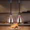 Aocay Lampe Chauffante Cuisine Professionnelle, Lampe Chauffe Plat Buffet Suspendue Hauteur Réglable, 250W Lampe Chauffante Alimentaire Réglable pour Hôtels, Buffets et Cuisines(B-25cm, 2 Pièces)