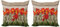 ABAKUHAUS Rustikal Dekokissen Kissenbezug 2er Pack, Blooming Mohnblumen-Blumen, Modern Accent Doppelseitiger Digitaldruck, 50x50, Orange Braun