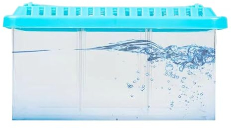 wiroouia Schreibtisch-Aquarium, kleines Aquarium - Durchsichtiger Behälter für Desktop-Aquarien mit herausnehmbaren Trennwänden,Aquarium-Starter-Set, Fischschale mit Mehreren Fächern für die