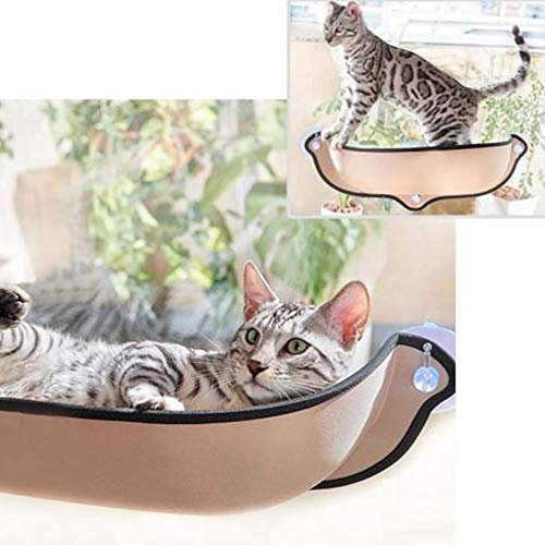 Lit pour Chat monté sur fenêtr avec ventouses - Perchoir pour fenêtr d Chat, hamac d Voiture, sièg d lit, chais longu - Canapé d Repos pour Chat, Bain d Soleil sûr pour Petits et Moyens Chats (Beige