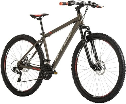 WYLD Mountainbike Hardtail 29'' Sharp Platin-grau 21 Gänge (46 cm)