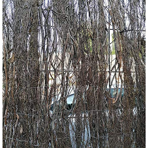 Suinga - Treillis bruyère 1,5 x 3 mètres, Occultation de 90%, 2,5-3 kg/m2, pour terrasses, Jardins et délimitation de parcelles.