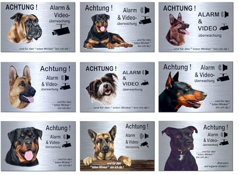Hunde-Alarm + Video-Überwachung-Hund-Schild-Hundeschild-300 x 200 x 3 mm-Aluminium Edelstahloptik-Tierschild-Warnschild-Hinweisschild (133-21 Rottweiler mi Löcher)