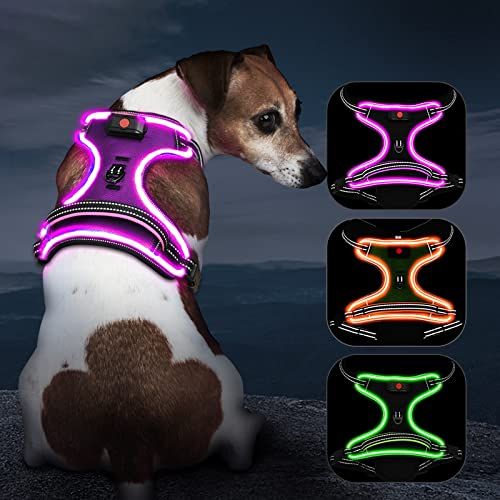 Kpuplol Leuchtendes Hundegeschirr für Klein/Mittelgroße Hunde - Violett, Streifig, No Pull Design, Leuchtendes Design für nächtliche Spaziergänge