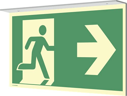 Fahnenschild Deckenmontage Notausgang links/rechts,Alu,nachleuchtend,160-mcd,297x148mm