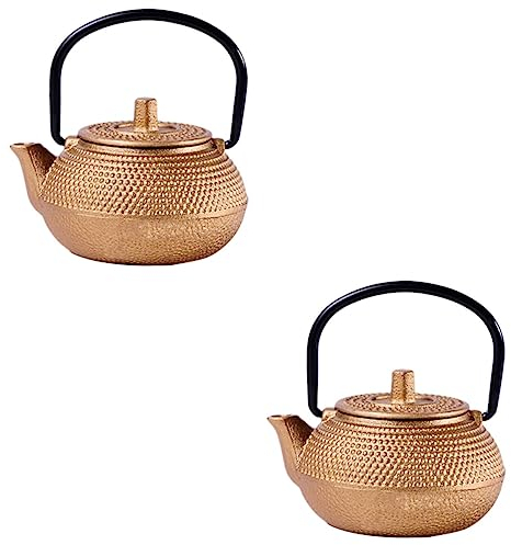 Alipis 2pcs Cast Iron Teapot Tea Kettle Small Grey Infuser Teapot Rustproof for Tea Lovers