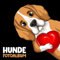 Hunde Fotoalbum: tolles Album für alle Hundehalter | Erinnerungsalbum | Geschenkidee für Hundebesitzer | Hundealbum zum Festhalten schöner Momente mit deinem Hund | Beagle