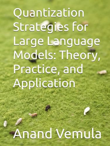 Quantization Strategies for Large Language Models: Theory, Practice, and Application