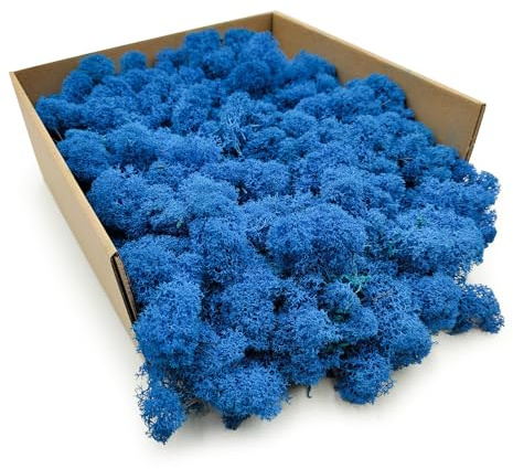 Enchanted Moos Konserviertes Rentiermoos Stabilisiert Deko Moos Zum Basteln DIY Für Mosbilder Floristik Natur Finnisch Blau 500 g
