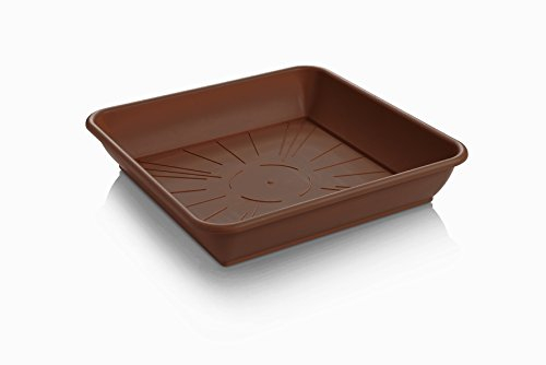 Erhard-Trading Blumentopf-Untersetzer Quattro Eckig Braun Quadratisch aus Kunststoff (Gr. 3)