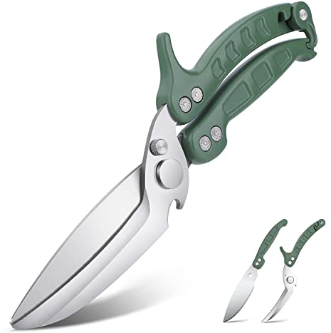 DRAGON RIOT Ciseaux à Volaille Détachables, Ciseaux de Cuisine à Dents de Requin, Ciseaux Cuisine Professionnel Multifonctions Pour Couper Les Os, Viande, Volaille, Légumes et Fruits de Mer, Vert