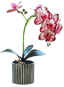 susiodeu Orchidea Artificiale Bonsai Phalaenopsis in Vaso Casa Giardino Colore Brillante Pianta Finta Realistica per Matrimonio sul Balcone Interno, Rosa Rossa