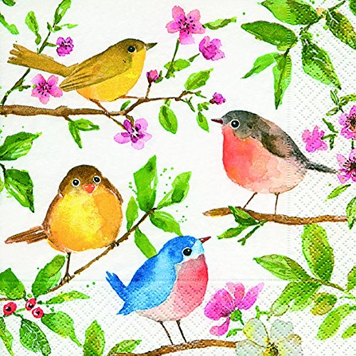 20 Serviette Vögel Frühling 25 x25 cm 3-lagig, 1/4 gefaltet auf 12,5x12,5 cm