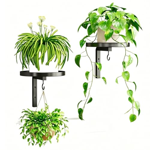 AXVRAV 2 Stück Wandbehang Pflanzenständer Metall, 20 cm Pflanzenhalter Wand Metall mit Haken, Pflanzenregal Blumenständer Blumenregal Wand für Balkon Wohnzimmer Terrasse, Indoor/Outdoor (Schwarz)