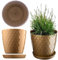 KADAX Flowerpot, una casseruola per fiori e piante con sottobicchieri, fioriere luce e materiale resistente Una pentola decorativa per piante (20 cm, oro)