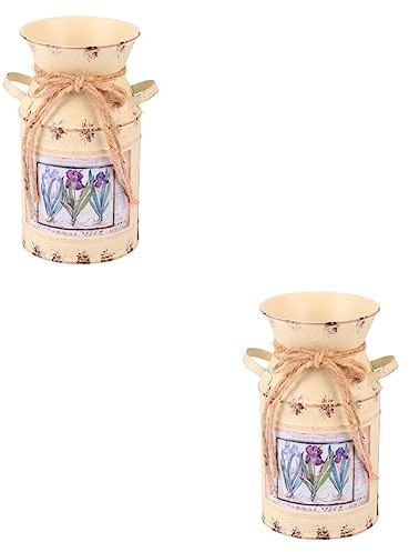 LIFKOME 2 Pièces Cruche Pichet Vase Grands Vases Vase De Pichet De Ferme Vase Galvanisé Vase Cruche Primitif Vase De Jardinière en Métal Cruche Vintage Décor Rustique Affichage Manuel