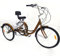 LENJKYYO 24 Zoll Dreirad für Erwachsene 3-Rad Erwachsene Dreirad mit Einkaufskorb Outdoor Tricycle 6 Gang Erwachsene Dreirad Outdoor Senioren Dreirad Gold