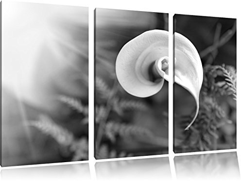 Pixxprint weiße Calla Lilie Blüte Kunst B&W, Leinwandbild 3 Teilig, Gesamtmaß: 120x80cm, Wandbild, Dekoration, fertig gespannt, Kein Poster