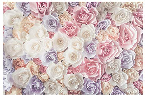 Apalis Vliestapete Pastell Paper Art Rosen, HxB: 255cm x 384cm