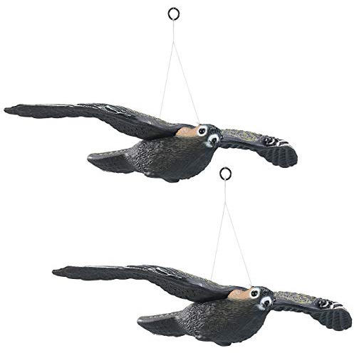 Royal Gardineer Vogelabwehr Falke: 2er-Set Vogelschreck Falke zum Aufhängen, 54 cm Flügel-Spannweite (Taubenabwehr Falke, Vogelscheuche, Rabe)