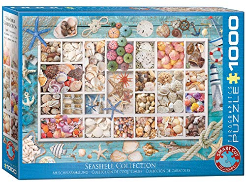 empireposter 1000 Teile Puzzle - Puzzle - Maritime Muschelsammlung