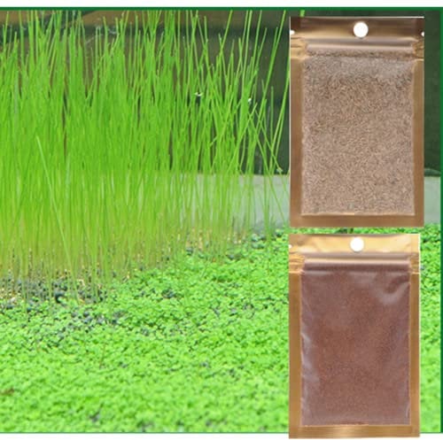 MISUHALOU 2 Pack Aquarium Plants Set, Easy Growing, Real Dwarf Carpet Decor for Fish Tank/Terrarium - (Small Leaf and Long Hair)