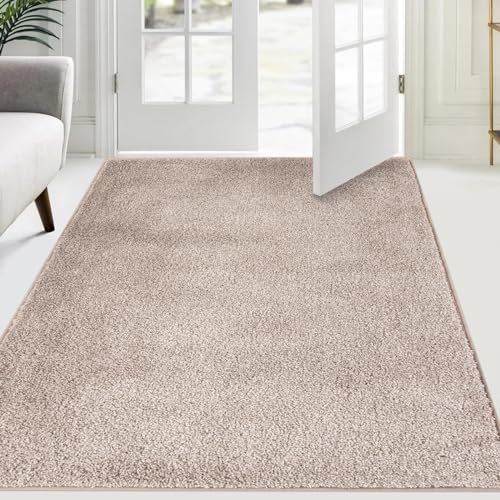 FCSDETAIL Schmutzfangmatte Innen 120 x 180 cm, rutschfeste Sauberlaufmatte, Eingangstürmatte mit Wasserabsorbierenden, Fussmatte Waschbarer Teppich Wohnzimmer Schlafzimmer