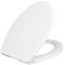 Luxe Bidet LUXE TS1008E Toilettensitz, länglich, bequeme Passform, mit Absenkautomatik, Quick-Release-Scharnieren, rutschfeste Stoßstangen (weiß), Elongated