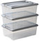 Iris Ohyama 3 Cajas de almacenamiento con tapas, 30L, Plata, Clips de Cierre, Duradero, Apilable, para Dormitorio, Armario, Oficina, Organizadora, Ropa y Zapados, Libre de BPA, NTB-30