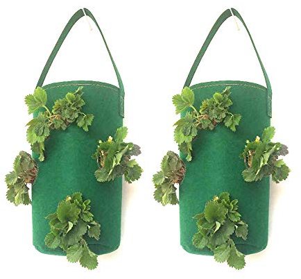 Nicole Knupfer 2 Stück Erdbeer-Pflanzbeutel, Hängend Erdbeeren Pflanztaschen aus Filz, Pflanzsack mit Löchern für Erdbeer & Tomaten (2 Stück,Grün)