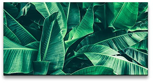 Paul Sinus Leinwandbild 120x60cm Tropische Pflanze Grün Blätter Dekorativ Exotisch