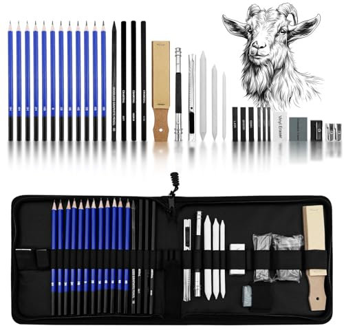 Absyrony Juego de Suministros de Arte, con Lapices De Dibujo, Lápiz de Grafito, Carboncillos, Herramientas de Dibujo, Estuche Portátil Cremallera etc, para Artistas, Estudiantes, Niños y Adultos