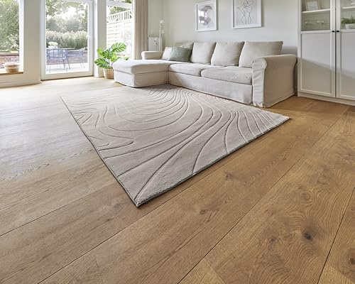 andiamo Teppich Dale - Kurzflorteppich mit Hoch-Tief-Effekt für das Wohnzimmer Schlafzimmer - Webteppich mit hoher Flordichte - angenehm weich - 160 x 230 cm in Greige